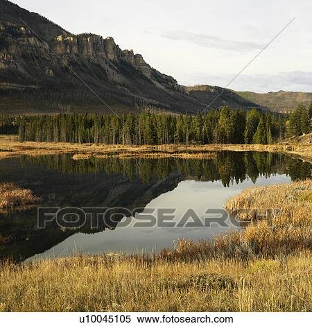 Wyoming mountains reflected in lake surrounded by golden field. View Large Photo Image Stock Photography - Wyoming mountains reflected in lake surrounded by golden field.. Fotosearch