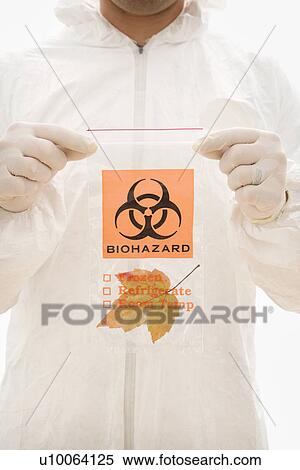 Man in biohazard suit and rubber gloves holding plastic biohazard bag containing orange Maple leaf. View Large Photo Image Stock Photography - Man in biohazard suit and rubber gloves holding plastic biohazard bag containing orange Maple leaf.. Fotosearch