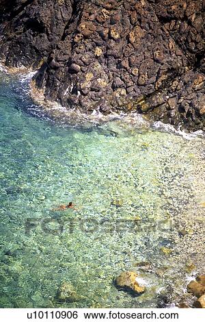 Stock Photograph - Person swimming in water near rocky beach Elba Italy. Fotosearch