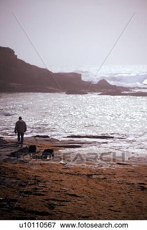 Shoreline vistas with waves and mist View Large Photo Image Stock Photo - Shoreline vistas with waves and mist . Fotosearch