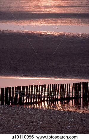 Stock Photograph - Sunset beach with tide wooden posts in foreground Heacham UK. Fotosearch