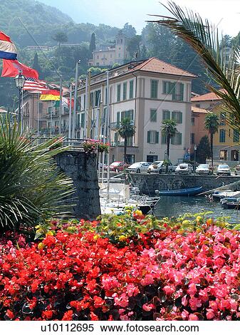 Menaggio-harbour View Large Photo Image Stock Photography - Menaggio-harbour . Fotosearch