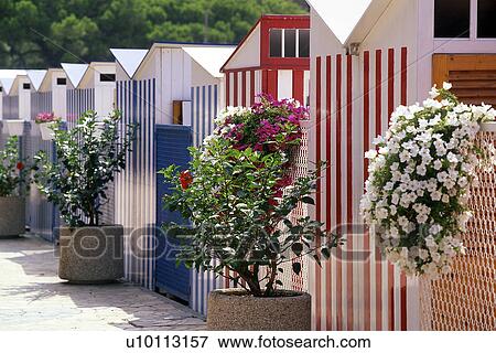 Vertical striped red white blue beach huts View Large Photo Image Stock Photo - Vertical striped red white blue beach huts. Fotosearch