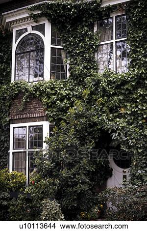 Picture - House in Chelsea District. Fotosearch