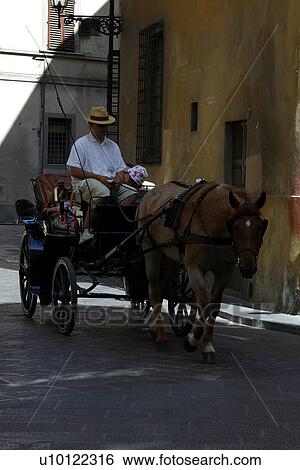 Stock Photograph - Horse drawn carriage. Fotosearch