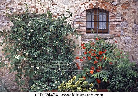 Italian garden View Large Photo Image Picture - Italian garden. Fotosearch