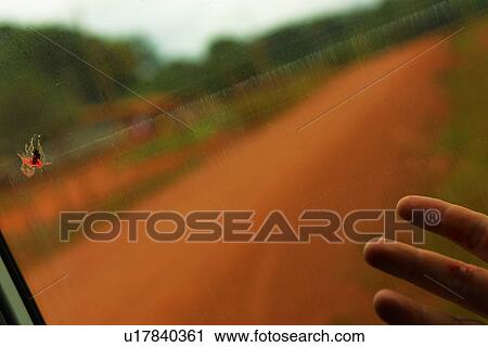 Stock Image - bug, windscreen, insect, land, way, path. Fotosearch