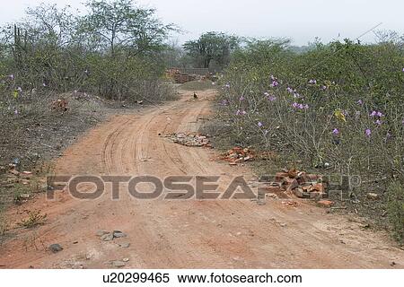 Stock Photography - bushes, agriculture. Fotosearch