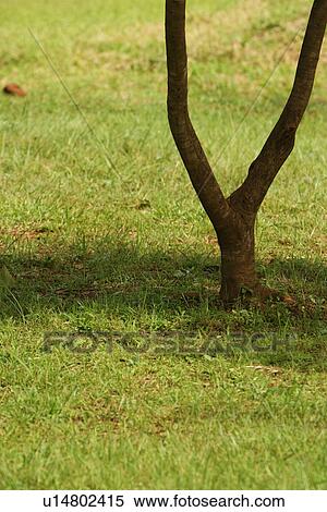 Stock Photography - condition, field, land, landscape, natural. Fotosearch