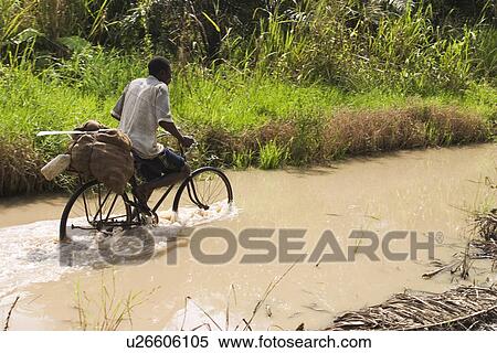 Stock Photography - Cycle, Day, Grass, Green. Fotosearch
