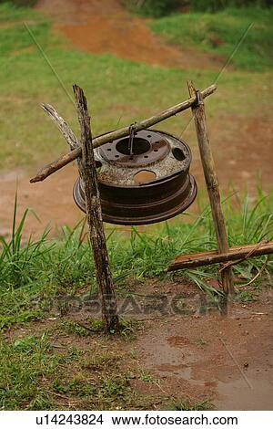 Picture - field, flora, grow, growth, life, plant. Fotosearch