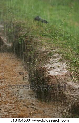 Stock Image - field, flora, grow, growth, life, plant. Fotosearch