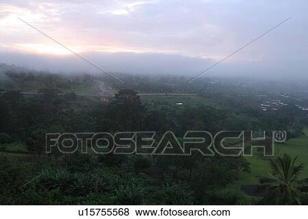 Stock Photo - green, wilderness, growth, dense, dense growth, trees. Fotosearch