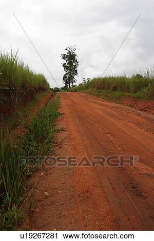 Stock Image - plant, plant life, flora, growth, green, environment. Fotosearch