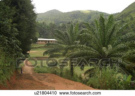 Stock Image - plant, plant life, flora, growth, green, environment. Fotosearch
