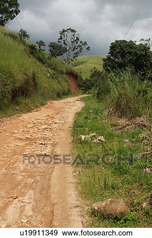 Stock Photo - plant, plant life, flora, growth, green, environment. Fotosearch