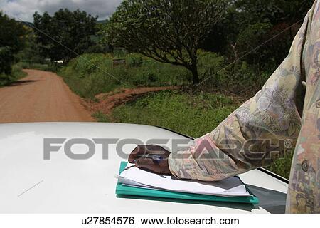 Stock Photograph - plant, plant life, flora, growth, green, environment. Fotosearch