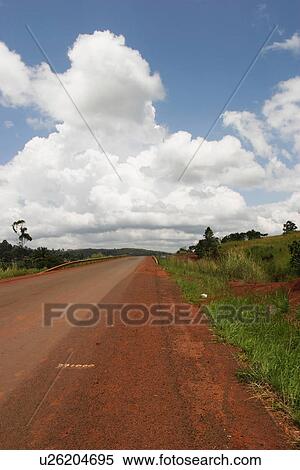 Stock Photography - plant, plant life, flora, growth, green, environment. Fotosearch