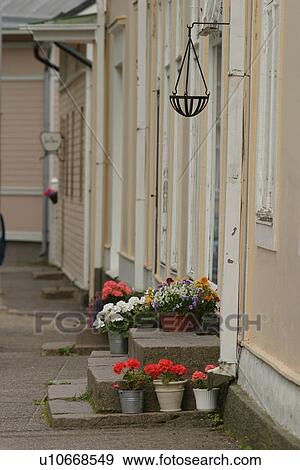 Stock Photo - blooms, blossoms, colorful, flora, flower, grow. Fotosearch