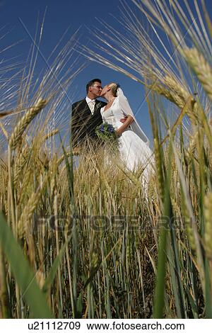 woman, couple, gown, formal, function View Large Photo Image Stock Photo - woman, couple, gown, formal, function. Fotosearch