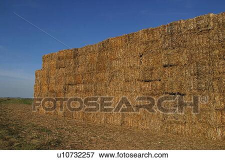 Stock Photo - bales, hay, straw, heap, pile, stack. Fotosearch