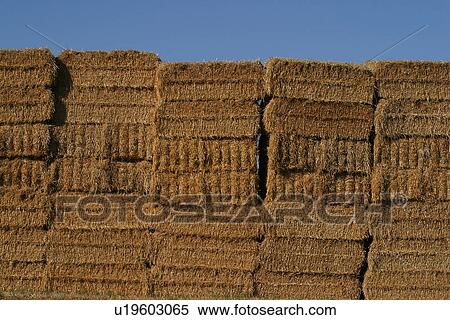 Stock Photography - bales, hay, straw, heap, pile, stack. Fotosearch