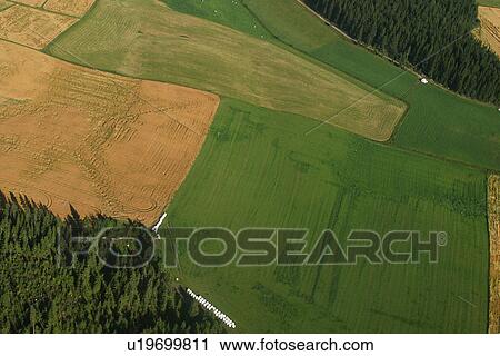 farm, farm land, cultivated, land, field, farm field View Large Photo Image Stock Image - farm, farm land, cultivated, land, field, farm field. Fotosearch