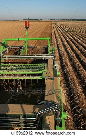 Stock Image - outdoor, nature, natural, farm, farmland, field. Fotosearch