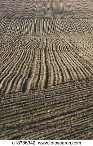 Stock Image - outdoors, natural, season, farm, farming, field. Fotosearch