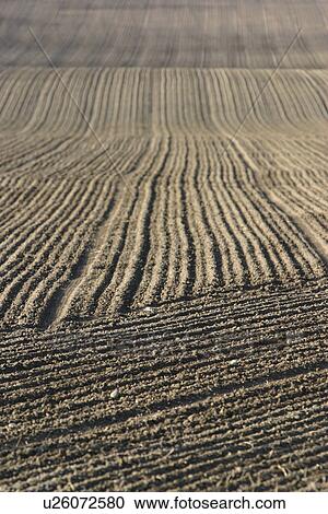 outdoors, natural, season, farm, farming, field View Large Photo Image Stock Image - outdoors, natural, season, farm, farming, field. Fotosearch