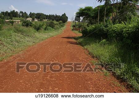 Stock Photo - plant, plant life, flora, growth, green, environment. Fotosearch