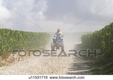 riding, motorbike, bike, plants, plantation View Large Photo Image Stock Photo - riding, motorbike, bike, plants, plantation. Fotosearch