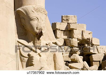 Close-Up, Day, Egypt, Mediterranean Countries, Africa View Large Photo Image Stock Image - Close-Up, Day, Egypt, Mediterranean Countries, Africa. Fotosearch