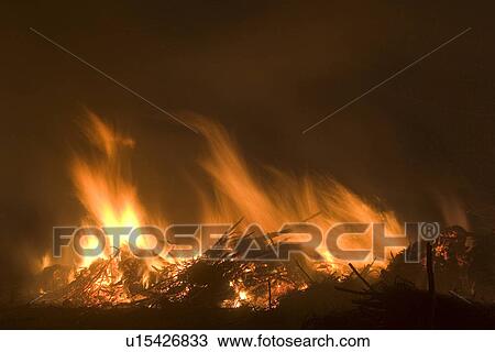 Stock Image - Bonfire, Close-Up, Fire, Flame. Fotosearch