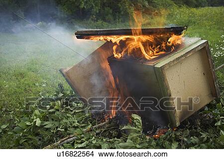 Picture - Burn, Combustion, Burning, Appearance. Fotosearch