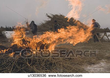 Stock Photograph - Burning, Day, Field, Fire, Flame. Fotosearch