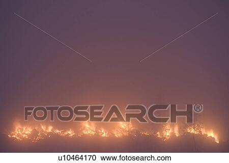 Stock Image - Burning, Defocused, Fire, Flame, Forest. Fotosearch