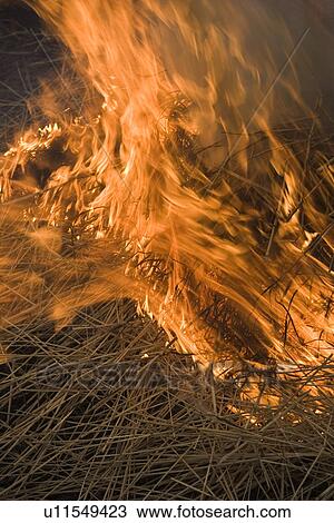 Stock Image - Burning, Flame, Fire, Day, Air Pollution. Fotosearch
