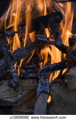 Stock Image - Night, Light, Fire. Fotosearch