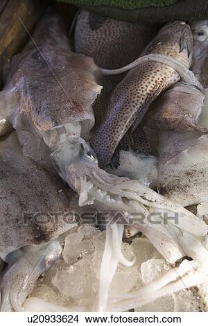 Picture - Close-Up, Cold, Dead Animal, Fish, Fish Market. Fotosearch