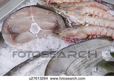 Picture - Close-Up, Dead Animal, Fish, Fish Market, Food. Fotosearch