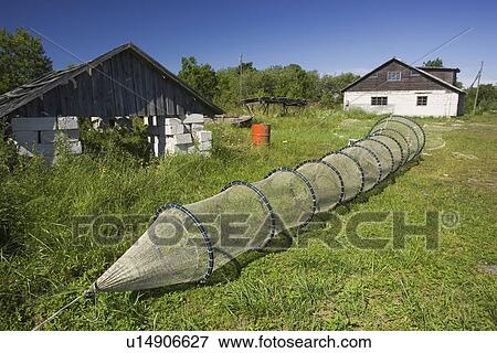 Stock Photo - Grass, Greenery, Structure. Fotosearch