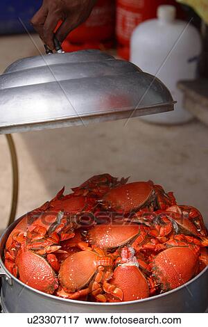 industry, fishing, bucket, crabs, crustaceans, food View Large Photo Image Stock Photo - industry, fishing, bucket, crabs, crustaceans, food. Fotosearch