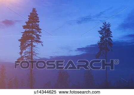 Blue, Blue Sky, Climate, Day, Fog View Large Photo Image Stock Photography - Blue, Blue Sky, Climate, Day, Fog. Fotosearch