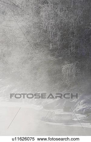 Stock Photography - Close-Up, Day, Fog, Frozen. Fotosearch