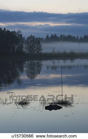 Stock Photograph - Cloud, Dusk, Fog, Grass, Lake. Fotosearch