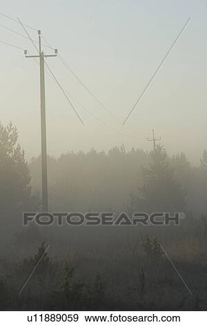 Stock Photo - Dark, Dusk, Electricity Pylon, Field, Fog. Fotosearch