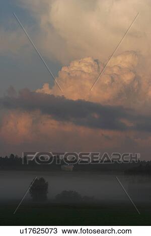 Stock Image - dense, aerial view, forest, landscape, view, aerial. Fotosearch