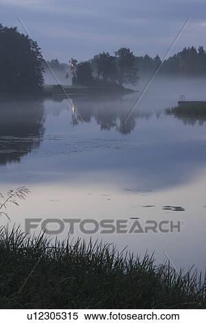 Fog, Grass, Grassy, Lake, Marshland View Large Photo Image Stock Photography - Fog, Grass, Grassy, Lake, Marshland. Fotosearch