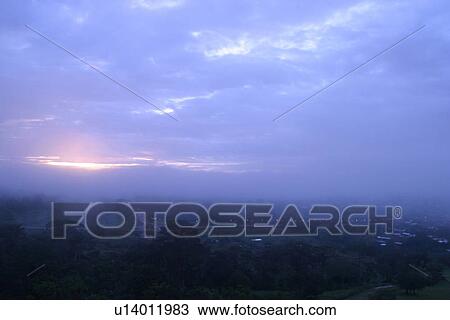 Stock Image - green, wilderness, growth, dense, dense growth, trees. Fotosearch
